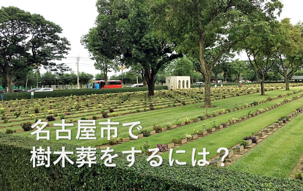 樹木葬って何？名古屋市における費用や流れ、注意すべきことを解説
